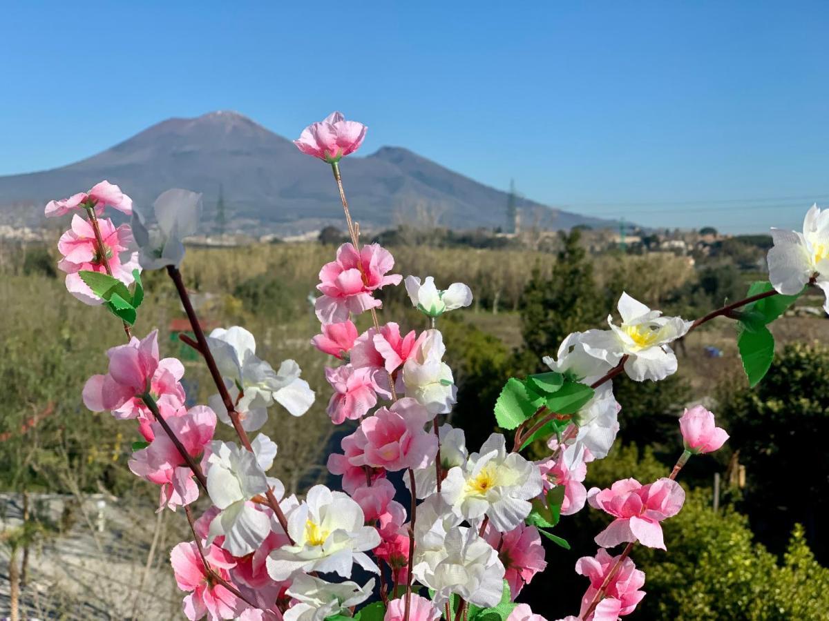 Villa Valentino Pompeji Exteriör bild